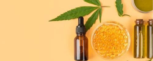 O que você precisa saber sobre a liberação dos remédios a base de Cannabis no SUS